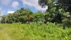 Foto 4 de Lote/Terreno à venda, 500m² em Balneário Garça Vermelha, Peruíbe