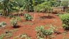 Foto 10 de Fazenda/Sítio com 2 Quartos à venda, 25000m² em Segismundo Pereira, Uberlândia