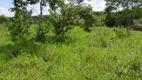 Foto 44 de Fazenda/Sítio com 3 Quartos à venda, 345000m² em Area Rural de Aguas Lindas de Goias, Águas Lindas de Goiás