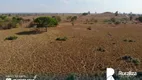 Foto 5 de Fazenda/Sítio à venda, 1495m² em Zona Rural, Barrolândia