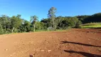 Foto 6 de Fazenda/Sítio à venda, 30000m² em Zona Rural, Pato Branco