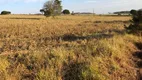 Foto 3 de Fazenda/Sítio com 3 Quartos à venda, 290400m² em Centro, Guaranésia