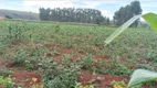 Foto 22 de Fazenda/Sítio com 3 Quartos à venda, 40000m² em Area Rural de Brazlandia, Brasília