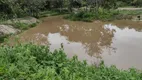 Foto 2 de Lote/Terreno à venda, 20000m² em Centro, Fortuna de Minas