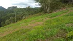 Foto 9 de Fazenda/Sítio à venda, 42000m² em Zona Rural, Paraisópolis