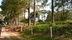 Foto 13 de Fazenda/Sítio à venda em Jardim Urano, São José do Rio Preto