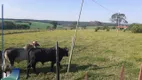 Foto 3 de Fazenda/Sítio com 3 Quartos à venda, 5m² em Zona Rural, São Simão