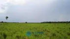 Foto 5 de Fazenda/Sítio à venda, 500m² em Zona Rural, Palmas