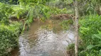 Foto 18 de Fazenda/Sítio com 3 Quartos à venda, 22000m² em , Luiz Alves