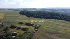 Foto 6 de Lote/Terreno à venda, 354046m² em Rio do Salto, Cascavel