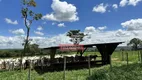 Foto 12 de Fazenda/Sítio com 3 Quartos à venda, 460380m² em Zona Rural, São Miguel do Passa Quatro