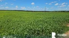 Foto 5 de Fazenda/Sítio à venda, 1180m² em Zona Rural, Dois Irmãos do Tocantins