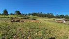 Foto 3 de Lote/Terreno à venda em Zona Rural, Urupema