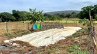 Foto 16 de Fazenda/Sítio com 1 Quarto à venda, 56m² em Zona Rural, Felixlândia