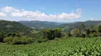 Foto 17 de Fazenda/Sítio com 2 Quartos à venda, 62000m² em Centro, Alfredo Wagner