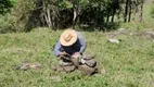 Foto 3 de Fazenda/Sítio à venda, 20m² em Centro, Camanducaia