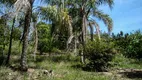 Foto 5 de Lote/Terreno à venda em Parque Valinhos, Valinhos