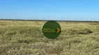 Foto 7 de Fazenda/Sítio à venda, 2178000m² em Zona Rural, Ipameri