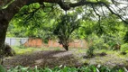 Foto 5 de Fazenda/Sítio com 3 Quartos para alugar, 250m² em Campestre, Piracicaba