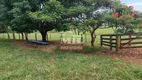 Foto 27 de Fazenda/Sítio com 3 Quartos à venda, 234256m² em Area Rural de Inhumas, Inhumas