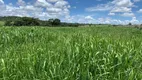 Foto 14 de Fazenda/Sítio com 3 Quartos à venda, 1000m² em Zona Rural, Uruaçu