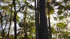 Foto 9 de Fazenda/Sítio à venda, 20000m² em Capivara, Almirante Tamandaré