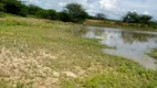 Foto 6 de Fazenda/Sítio com 4 Quartos à venda, 300000m² em Centro, Macaíba