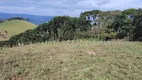 Foto 6 de Lote/Terreno à venda, 2000m² em Zona Rural, Delfim Moreira