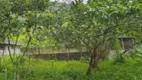 Foto 40 de Fazenda/Sítio com 3 Quartos à venda, 250m² em Agua Soca, São José dos Campos