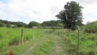 Foto 55 de Fazenda/Sítio com 7 Quartos à venda, 146000m² em Papucaia, Cachoeiras de Macacu