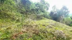 Foto 23 de Fazenda/Sítio à venda, 40800m² em Pedra Branca, Alfredo Wagner