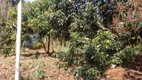 Foto 13 de Fazenda/Sítio com 3 Quartos à venda, 150m² em MONTE LIBANO, Aracoiaba da Serra