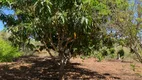 Foto 5 de Fazenda/Sítio com 2 Quartos à venda, 4100m² em Zona Rural, Bela Vista de Goiás