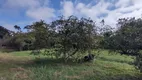 Foto 4 de Fazenda/Sítio com 2 Quartos à venda, 8500m² em Arraial dos Cunhas, Itajaí