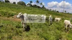 Foto 31 de Lote/Terreno à venda em , Feira Nova