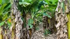 Foto 2 de Fazenda/Sítio com 2 Quartos à venda, 11m² em Zona Rural, Colinas do Sul