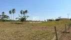 Foto 6 de Fazenda/Sítio com 4 Quartos à venda, 28m² em Zona Rural, Buriti Alegre