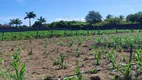 Foto 21 de Fazenda/Sítio com 4 Quartos à venda, 130m² em Zona Rural, São José de Mipibu