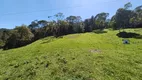 Foto 14 de Fazenda/Sítio com 2 Quartos à venda, 120000m² em Centro, Alfredo Wagner