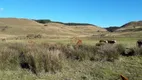Foto 2 de Fazenda/Sítio à venda, 30000m² em Zona Rural, São Francisco de Paula