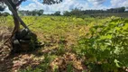 Foto 4 de Fazenda/Sítio à venda, 200000m² em Arapoanga, Brasília