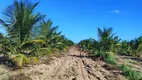 Foto 18 de Fazenda/Sítio com 2 Quartos à venda, 50m² em Zona Rural, Touros