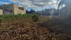 Foto 4 de Lote/Terreno à venda, 402m² em Floresta, Dois Irmãos