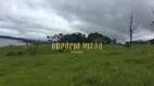 Foto 17 de Fazenda/Sítio com 8 Quartos à venda, 70000m² em Chácara Primavera, Suzano