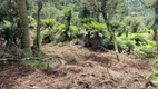 Foto 20 de Lote/Terreno à venda, 20000m² em Centro, Rio Rufino