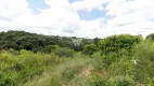 Foto 17 de Lote/Terreno à venda, 5892m² em Colonia Antonio Prado, Almirante Tamandaré