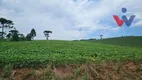 Foto 39 de Fazenda/Sítio com 6 Quartos à venda, 254100m² em Zona Rural, Araucária