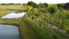 Foto 19 de Fazenda/Sítio com 3 Quartos à venda, 372m² em Area Rural de Engenheiro Coelho, Engenheiro Coelho