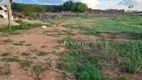 Foto 40 de Fazenda/Sítio com 3 Quartos à venda, 150m² em Zona Rural, Anápolis