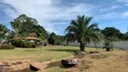 Foto 46 de Fazenda/Sítio com 4 Quartos à venda, 13000m² em Setor Pontakayana, Trindade